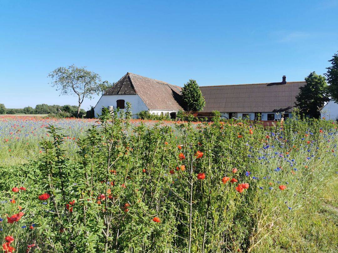 atmamedblomster